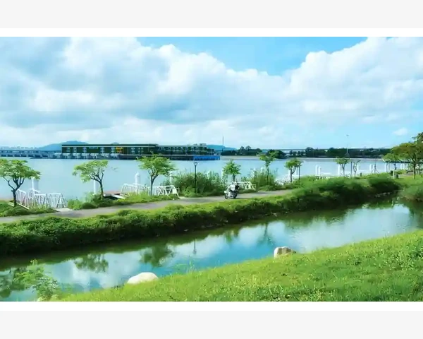 夏枯草：失眠的天然良药