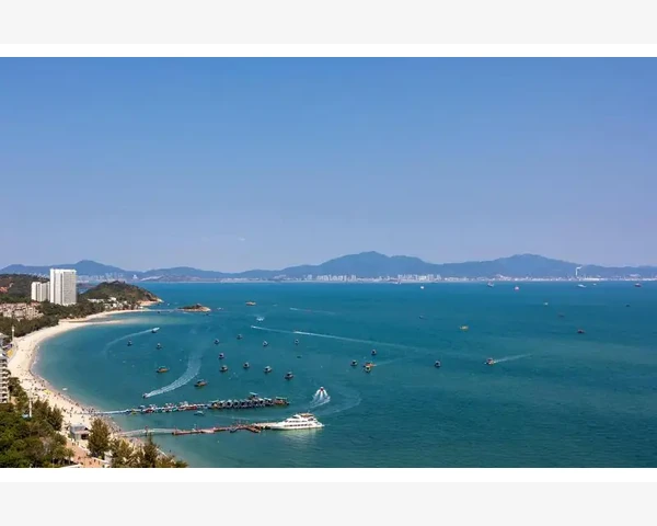 夏枯草：失眠的天然良药？