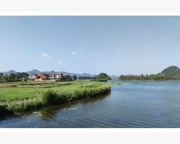 中医秘传：舒脾养胃，中药调理，让你远离胃病困扰！